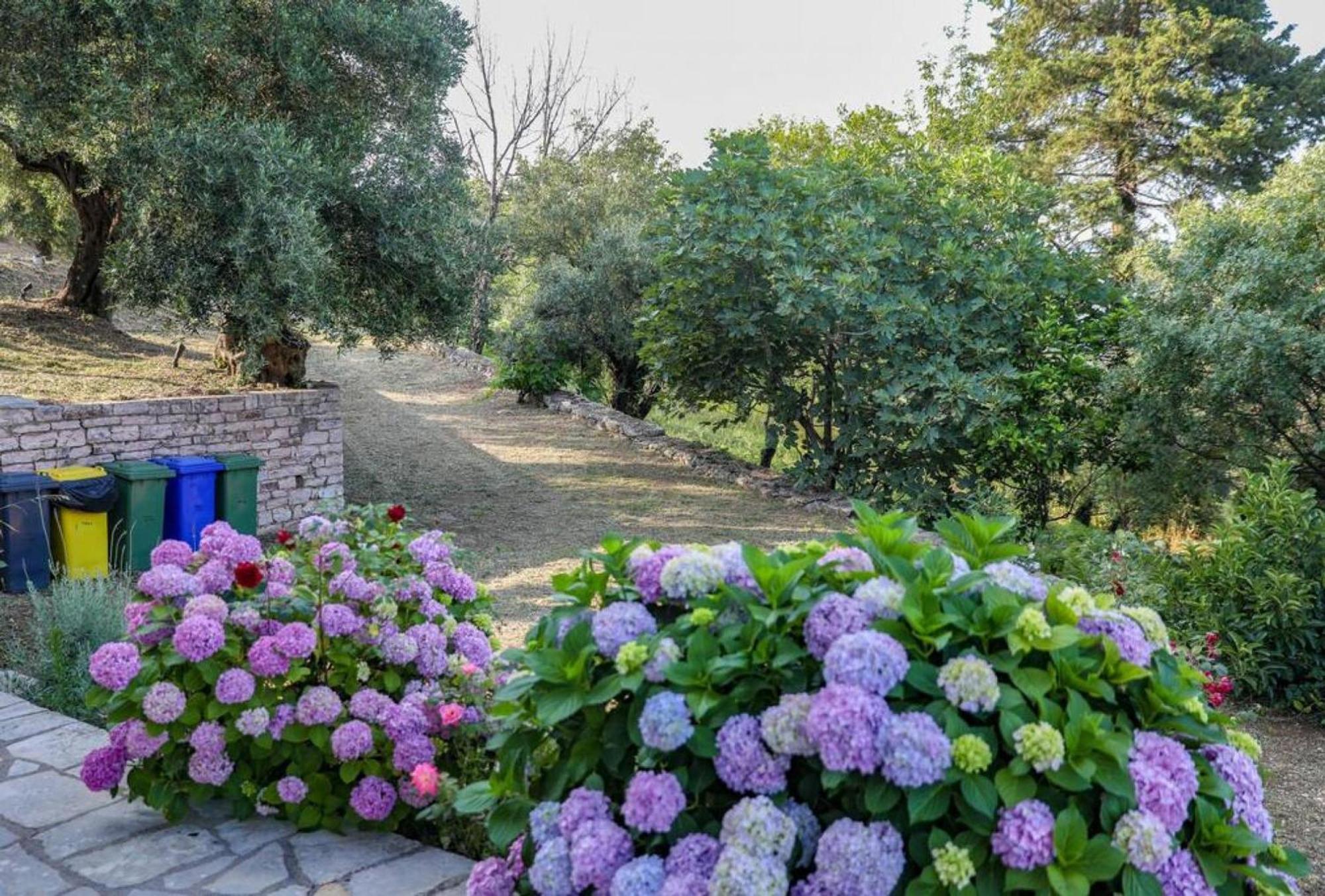 Sinies Stone Cottage - Ne Corfu Agnítsini Exterior foto